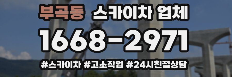 부곡동 스카이차 업체