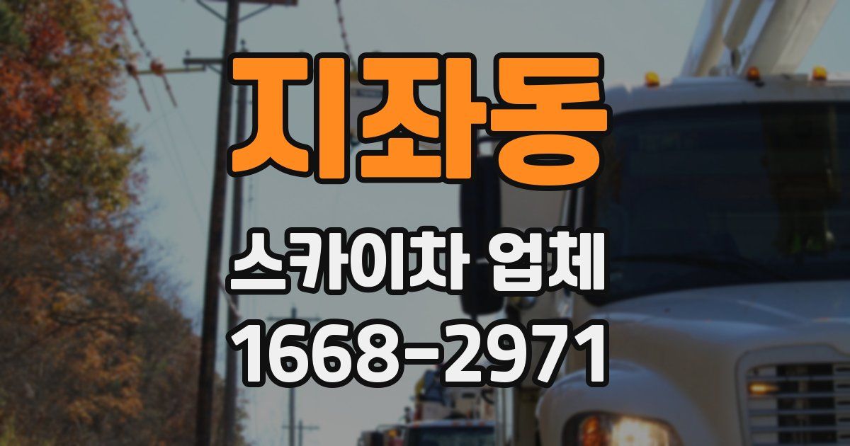 지좌동 스카이차 업체
