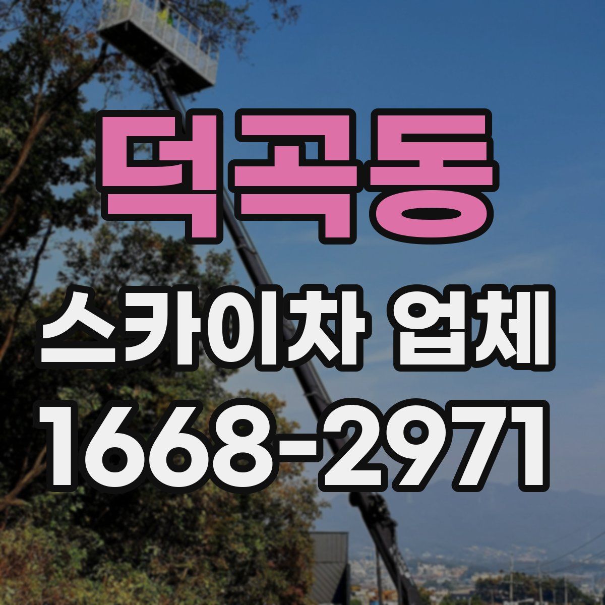 덕곡동 스카이차 업체