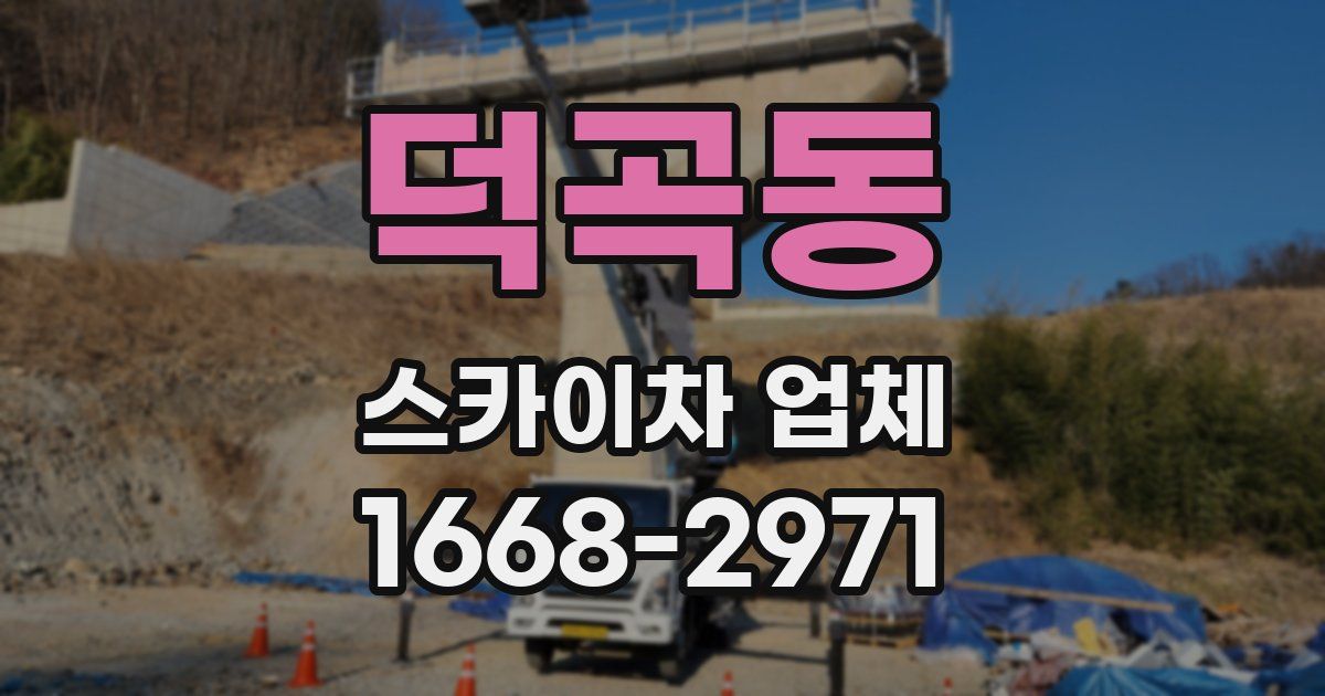 덕곡동 스카이차 업체