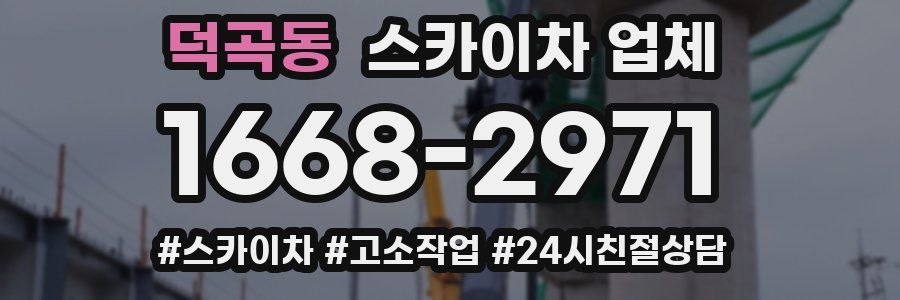 덕곡동 스카이차 업체