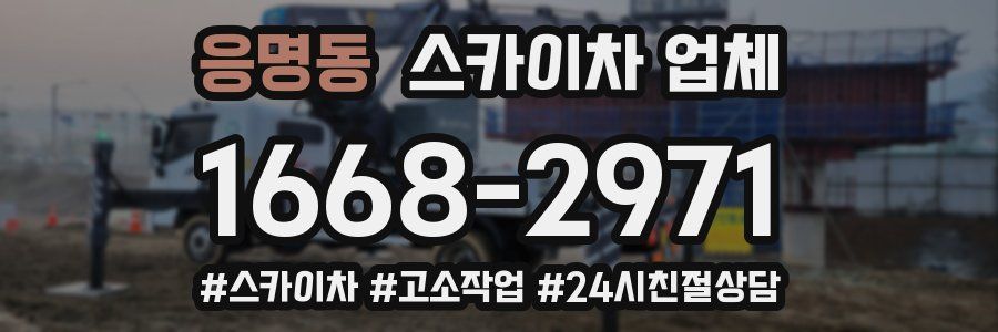 응명동 스카이차 업체