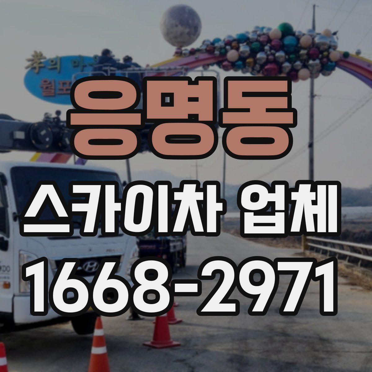 응명동 스카이차 업체