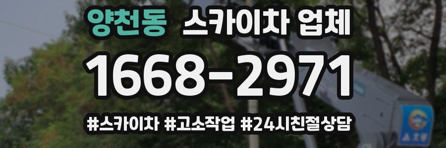 양천동 스카이차 업체