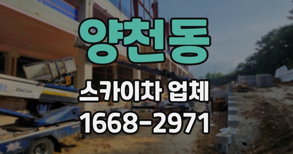 양천동 스카이차 업체