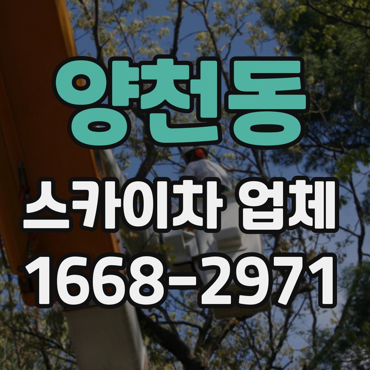양천동 스카이차 업체