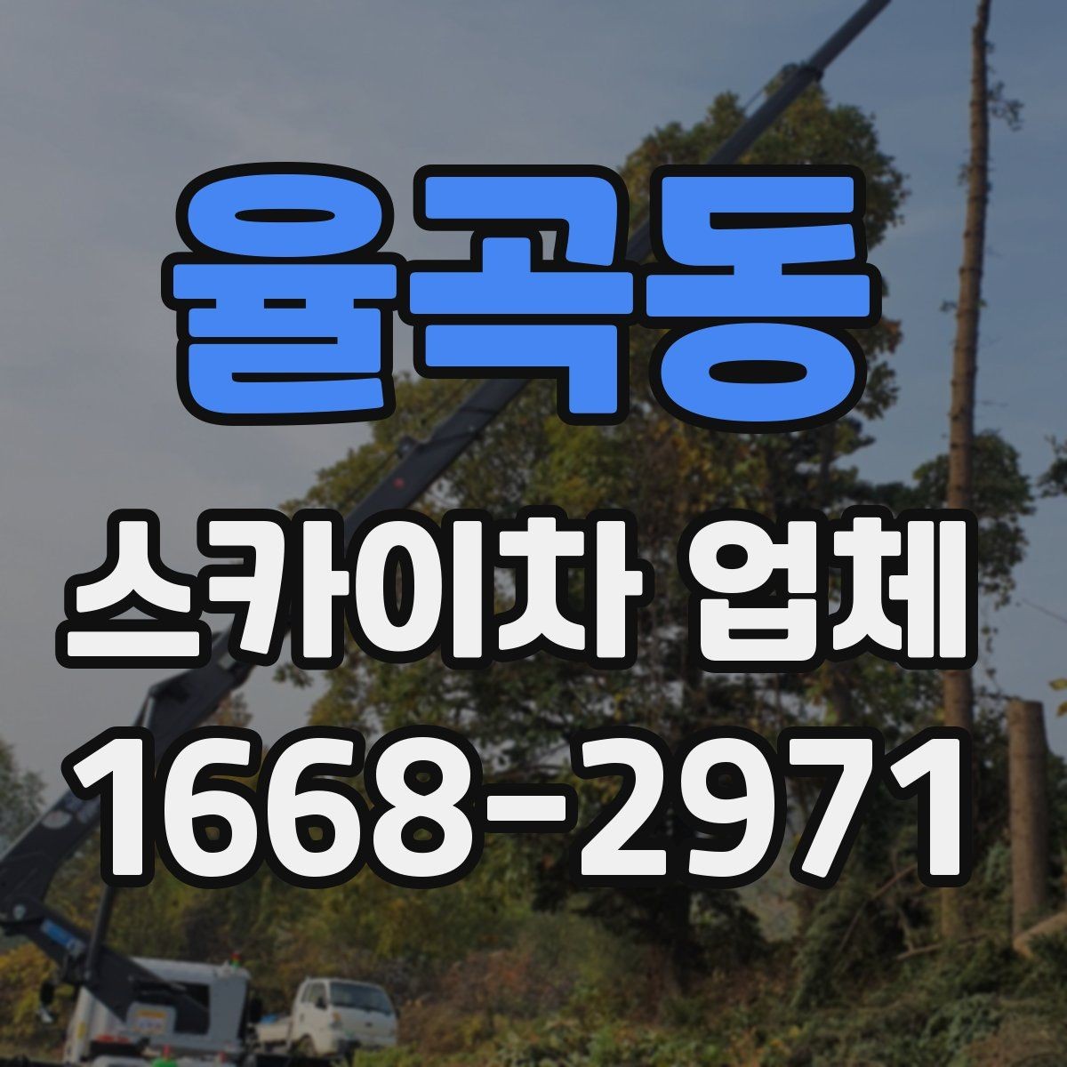율곡동 스카이차 업체 선택 시 안전장비 확인이 필요한 이유