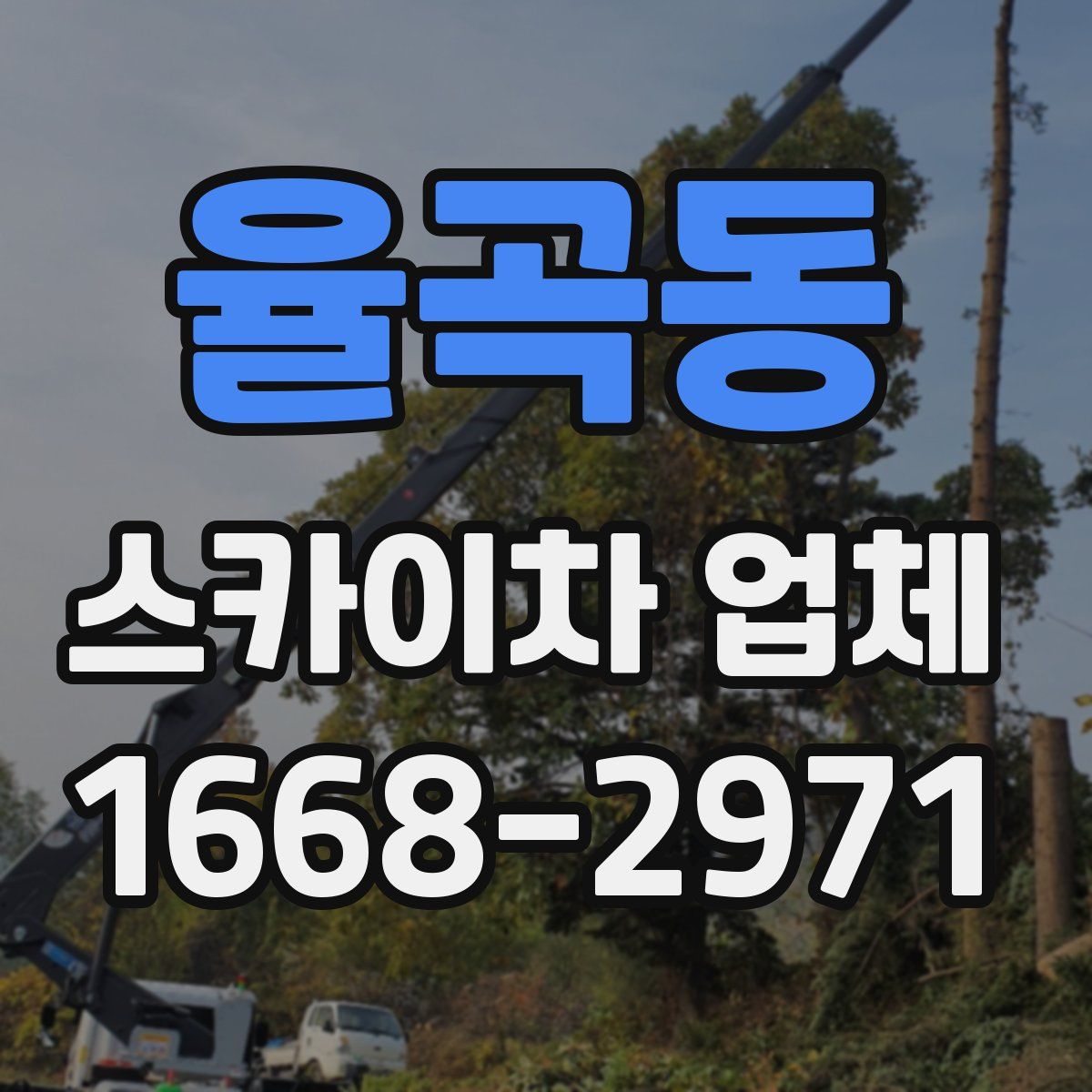 율곡동 스카이차 업체