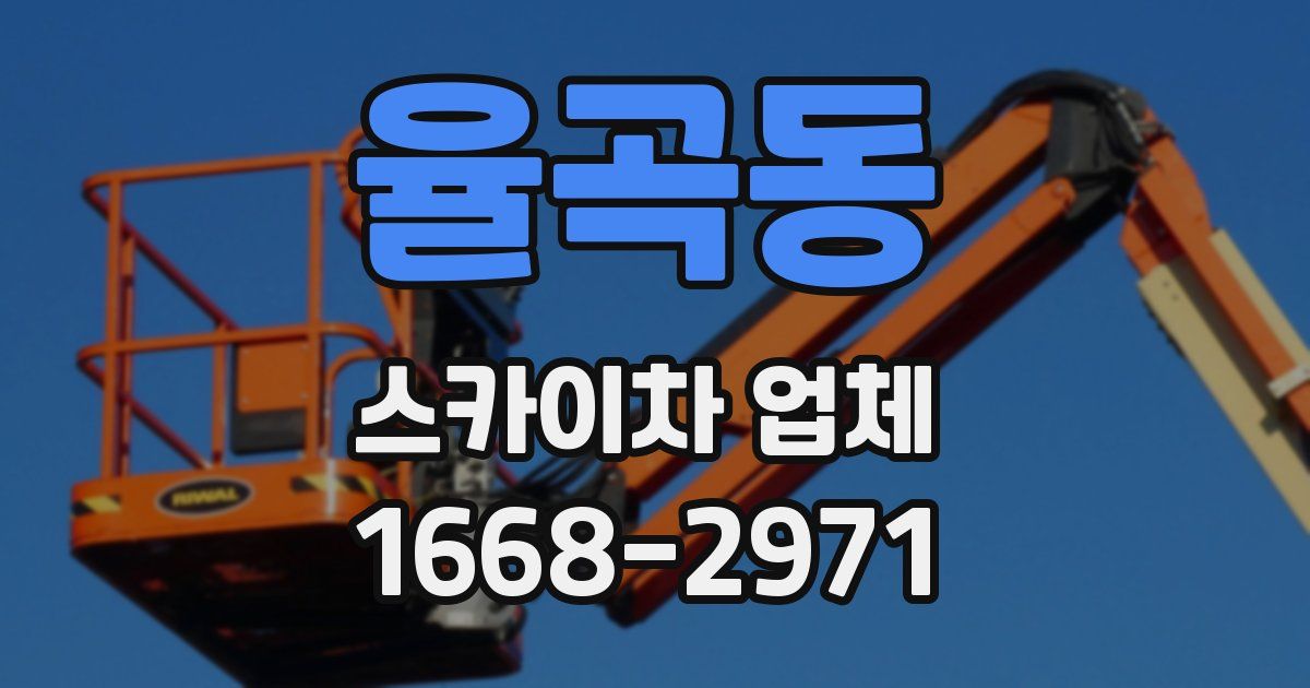 율곡동 스카이차 업체