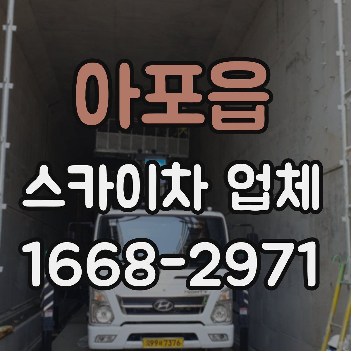 아포읍 스카이차 업체