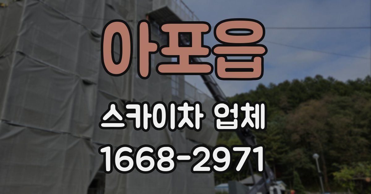 아포읍 스카이차 업체