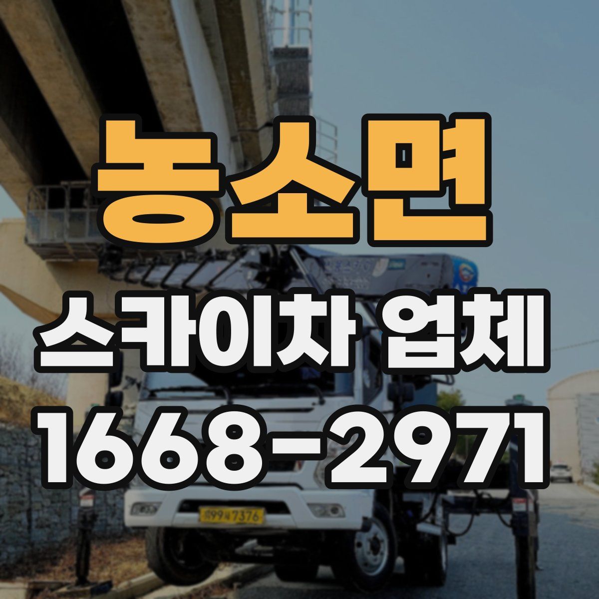 농소면 스카이차 업체