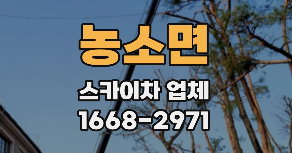 농소면 스카이차 업체