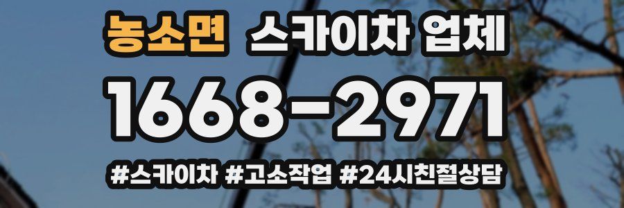 농소면 스카이차 업체