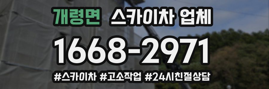개령면 스카이차 업체