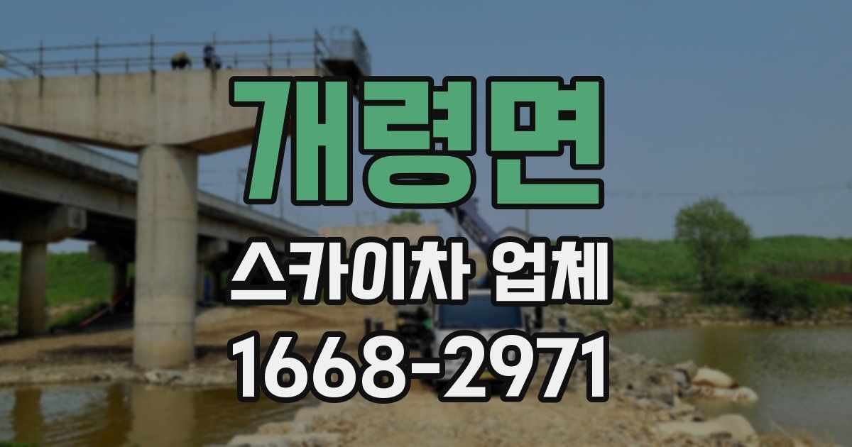 개령면 스카이차 업체