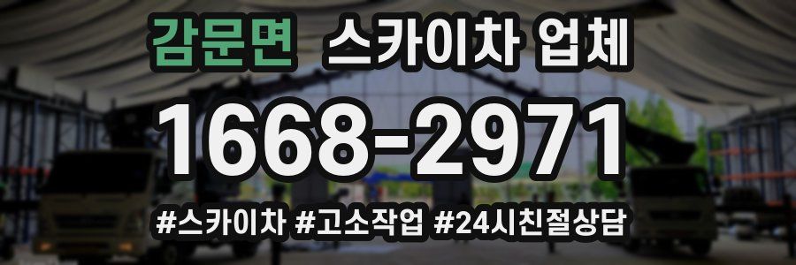 감문면 스카이차 업체