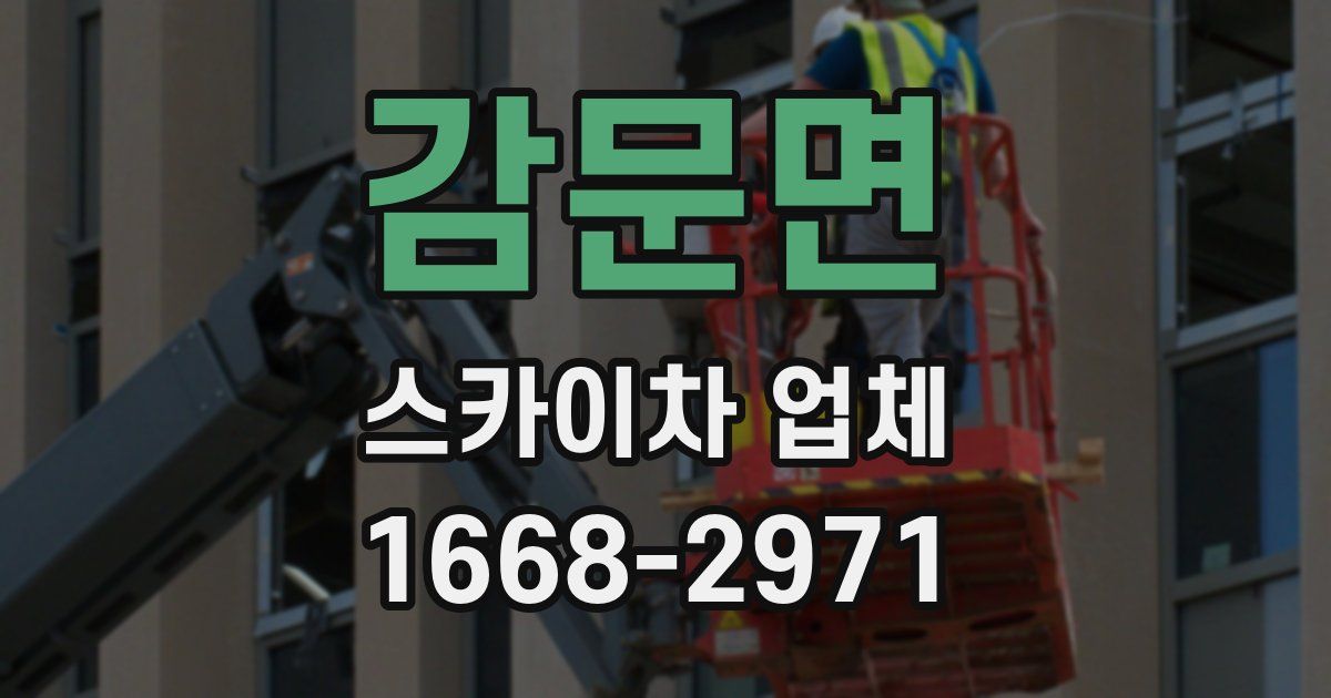 감문면 스카이차 업체