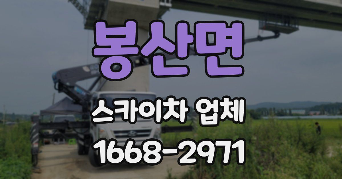 봉산면 스카이차 업체
