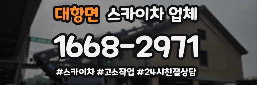 대항면 스카이차 업체