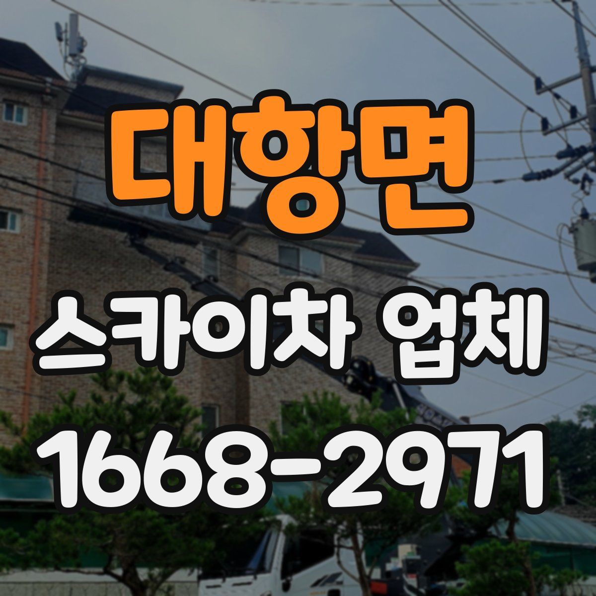 대항면 스카이차 업체