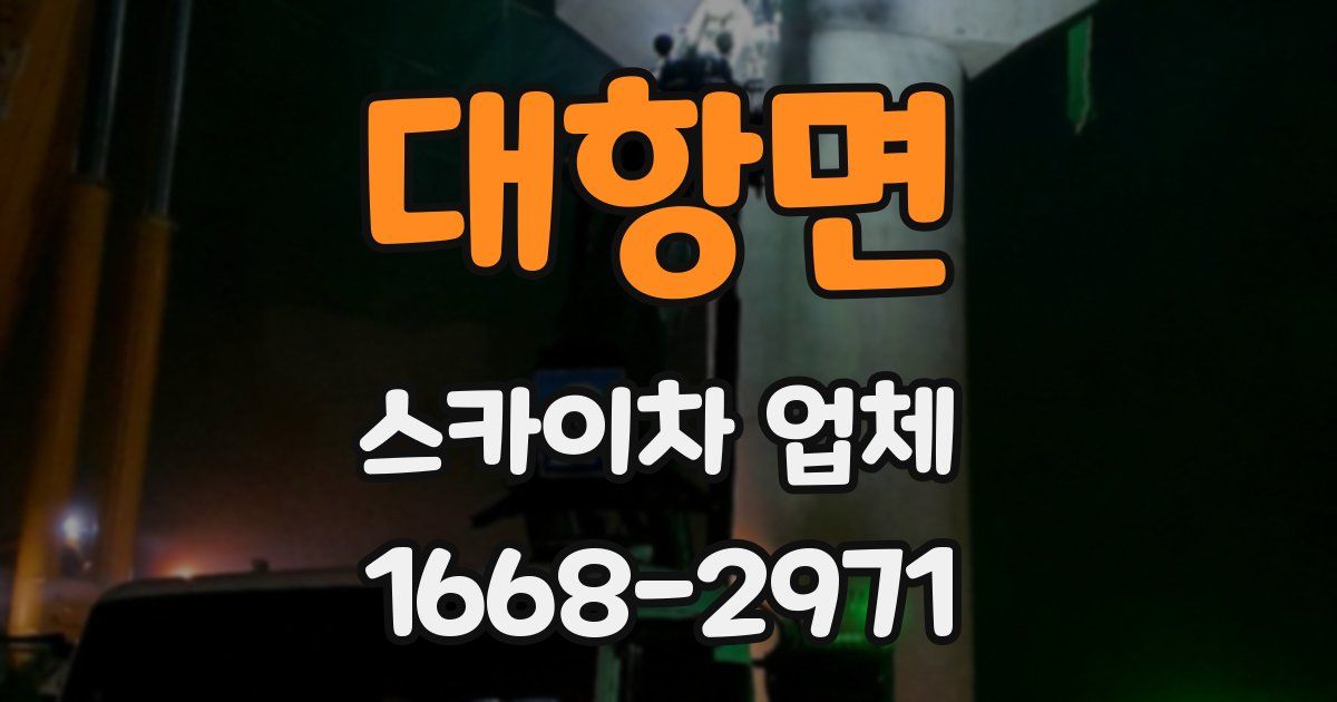 대항면 스카이차 업체