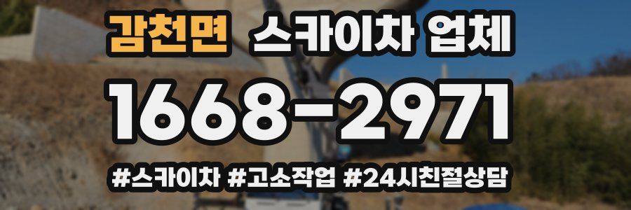 감천면 스카이차 업체