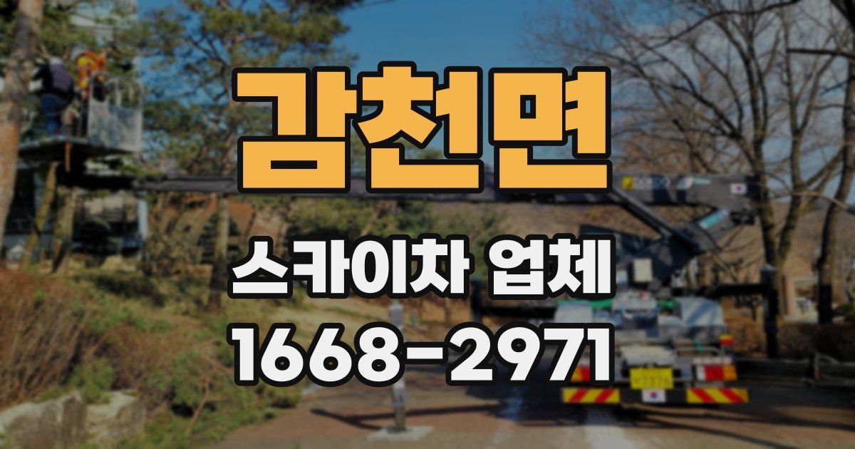 감천면 스카이차 업체