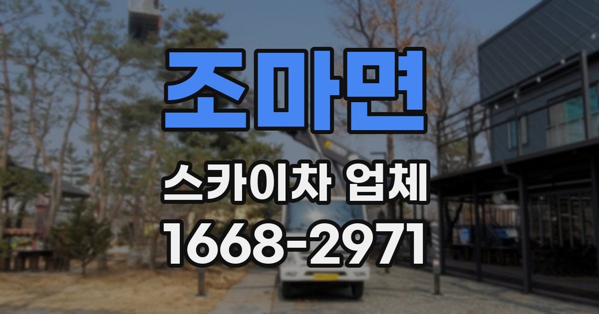 조마면 스카이차 업체