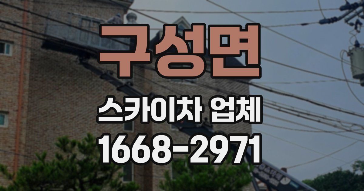 구성면 스카이차 업체