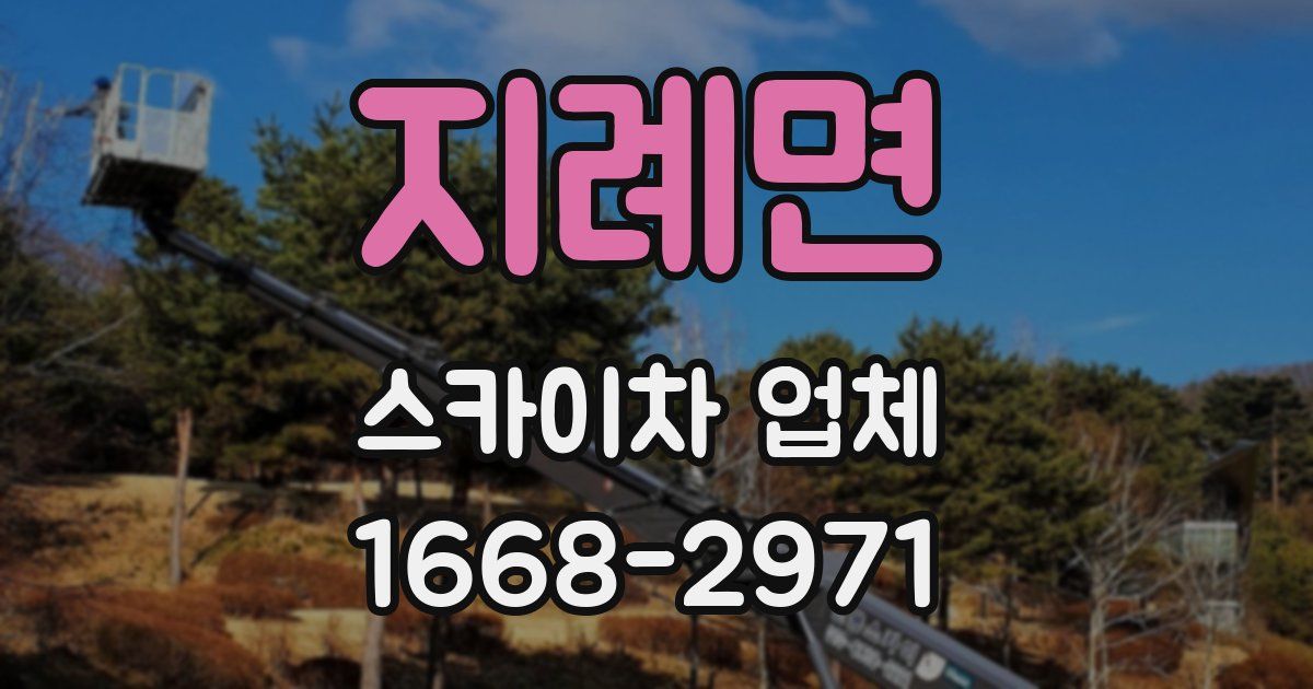 지례면 스카이차 업체