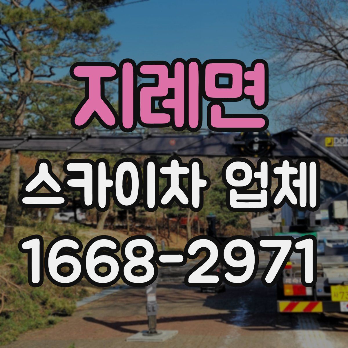 지례면 스카이차 업체