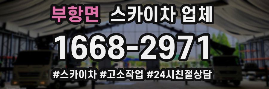부항면 스카이차 업체