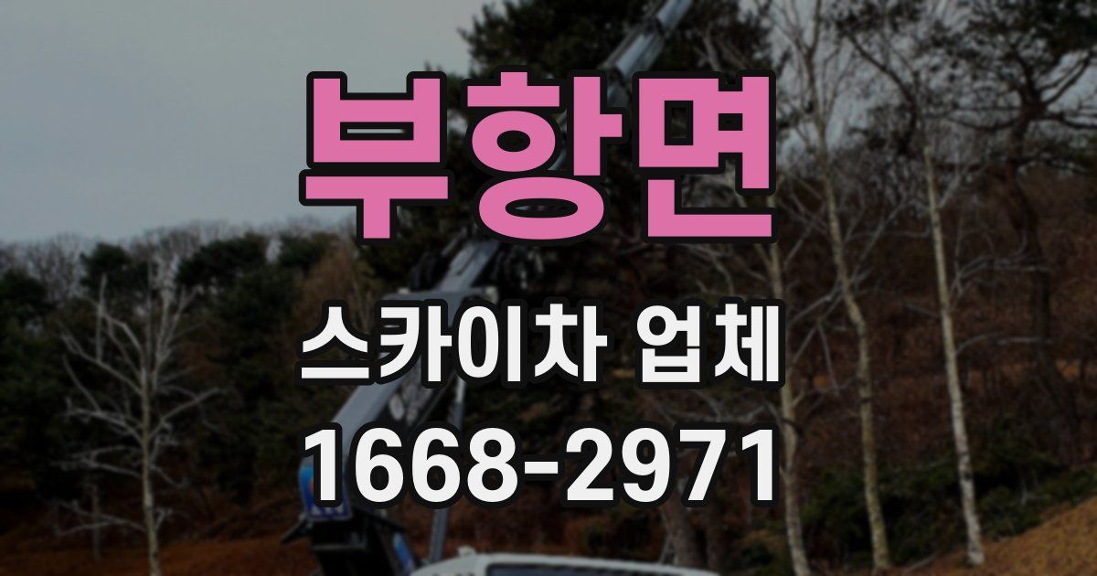 부항면 스카이차 업체
