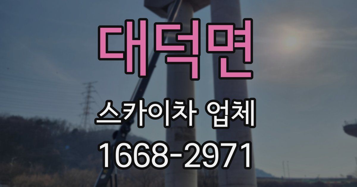 대덕면 스카이차 업체