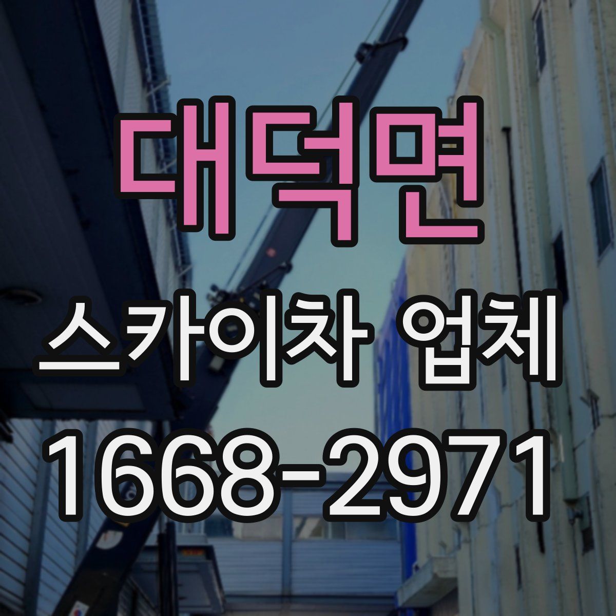 대덕면 스카이차 업체