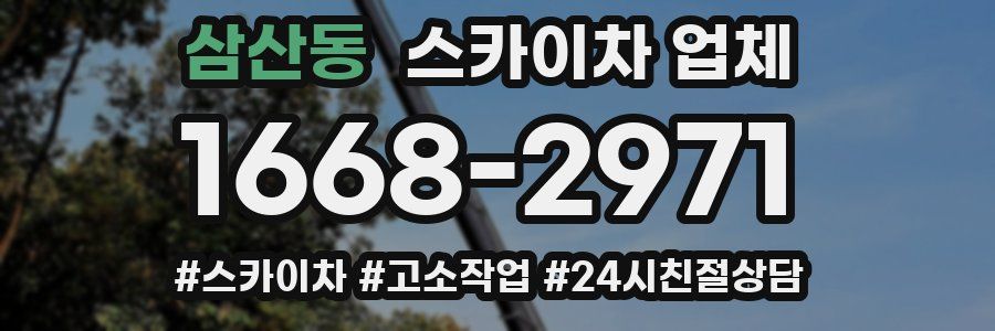 삼산동 스카이차 업체