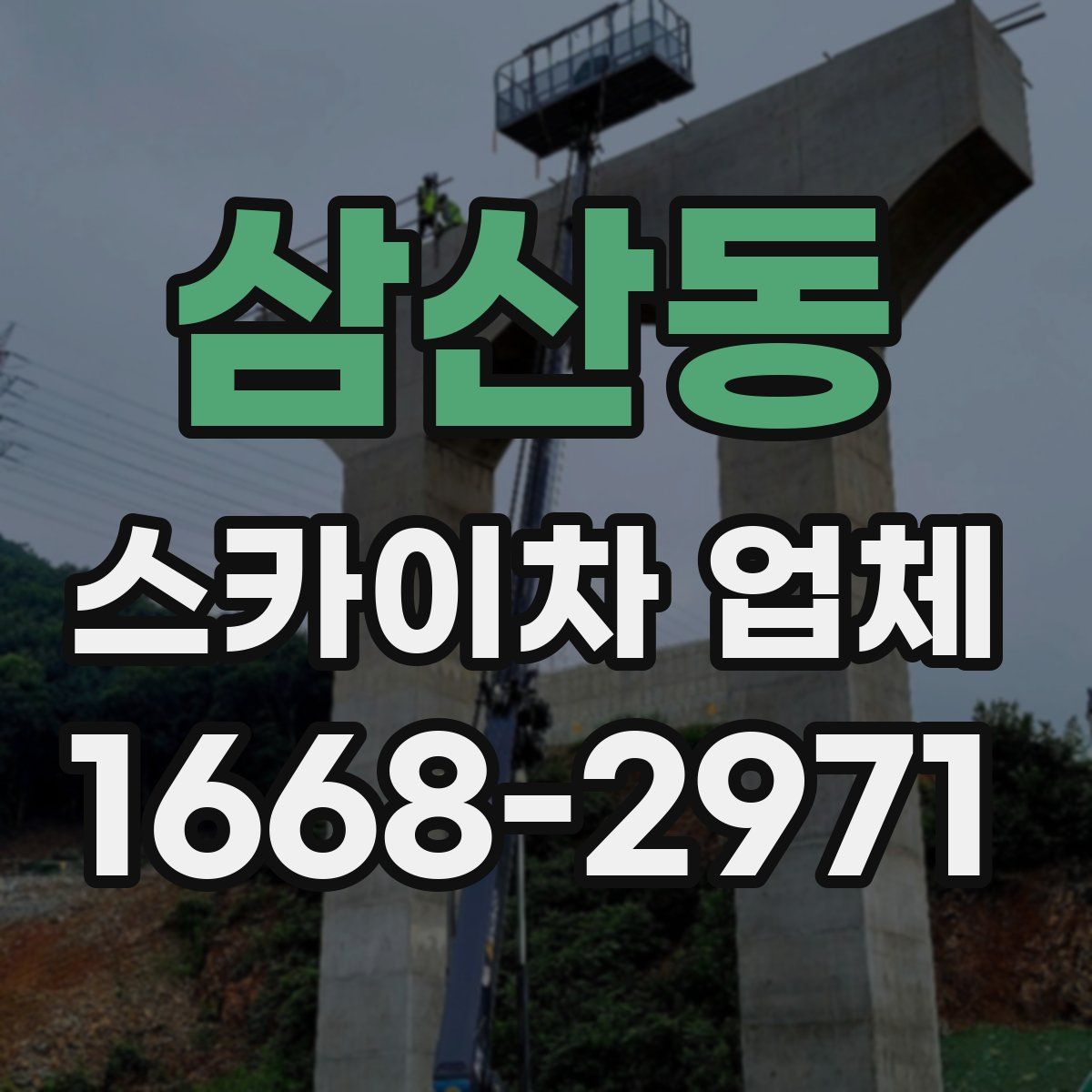 삼산동 스카이차 업체