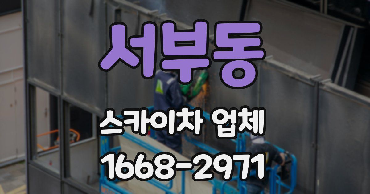 서부동 스카이차 업체