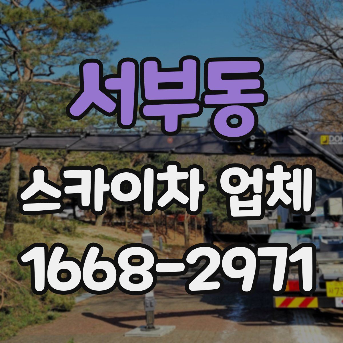 서부동 스카이차 업체