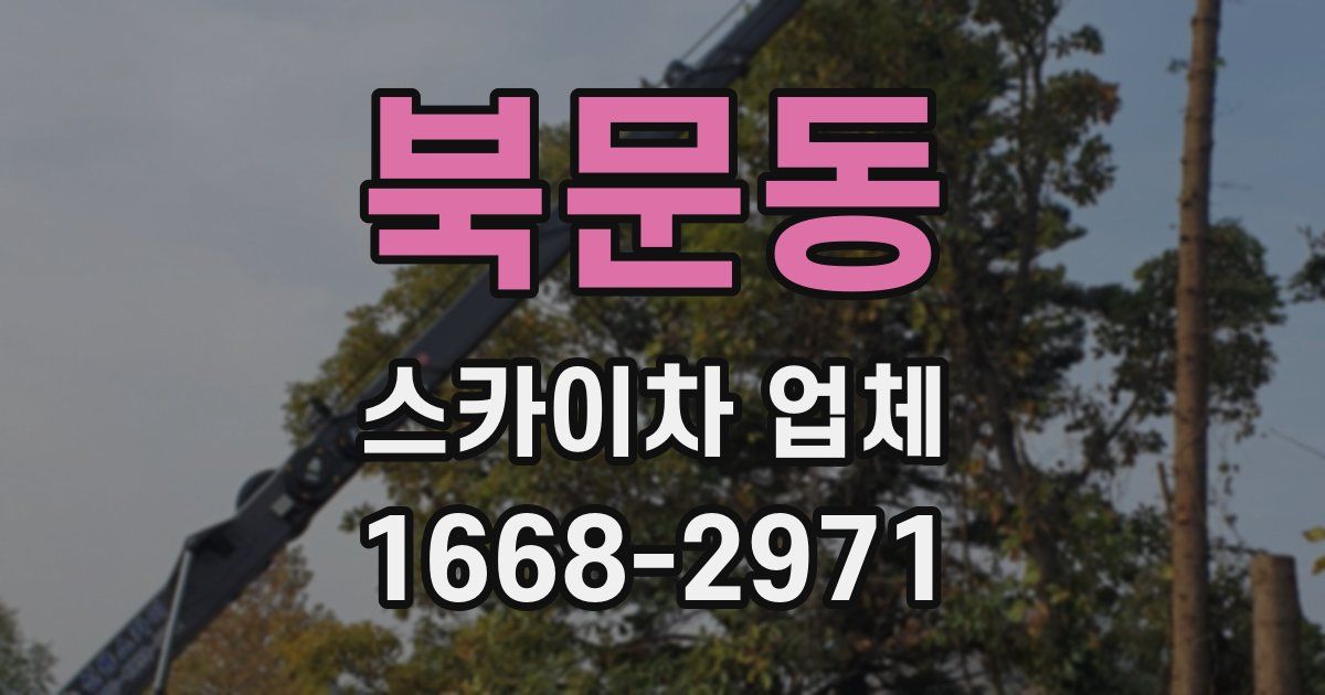북문동 스카이차 업체