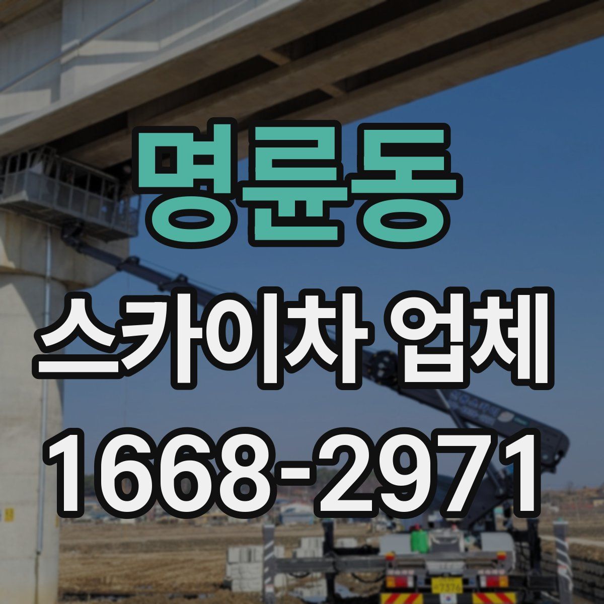 명륜동 스카이차 업체