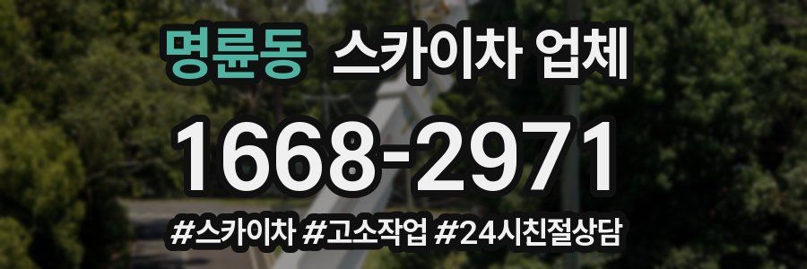 명륜동 스카이차 업체