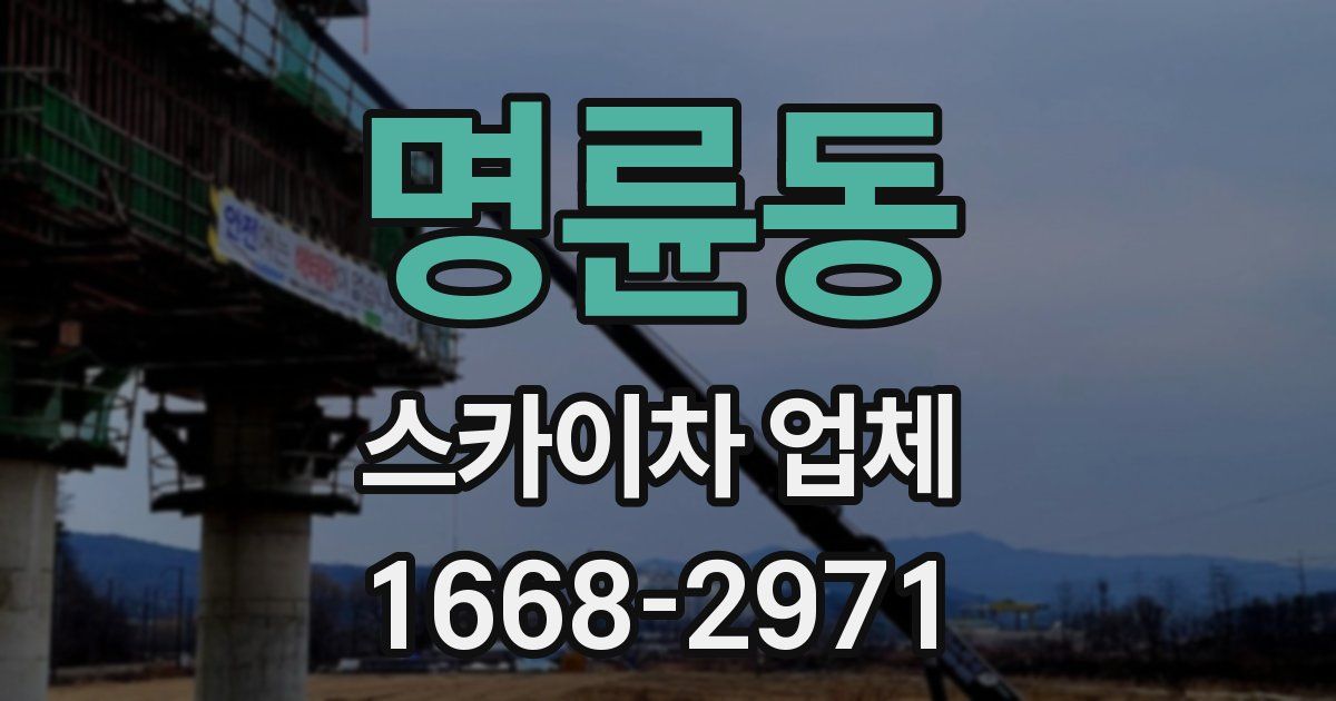 명륜동 스카이차 업체
