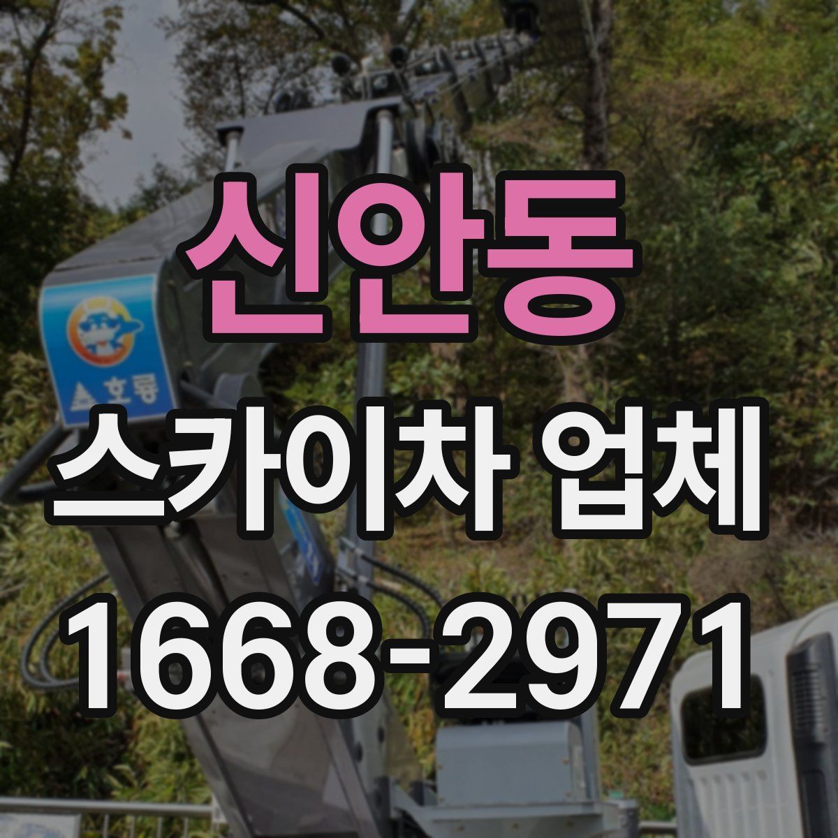신안동 스카이차 업체