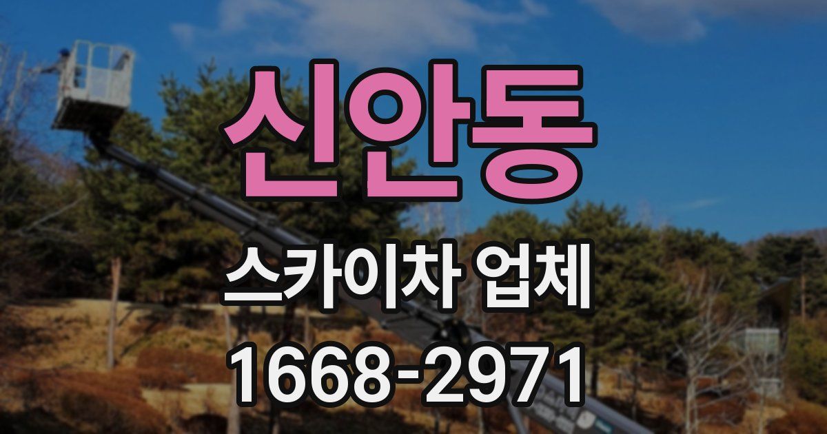 신안동 스카이차 업체