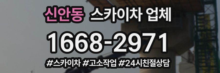 신안동 스카이차 업체