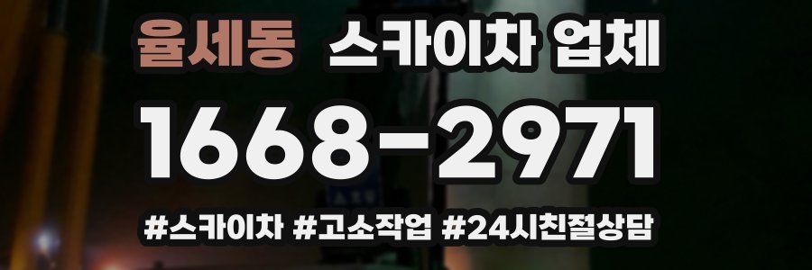 율세동 스카이차 업체