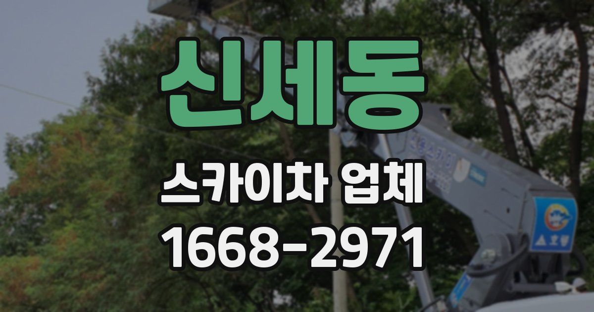 신세동 스카이차 업체