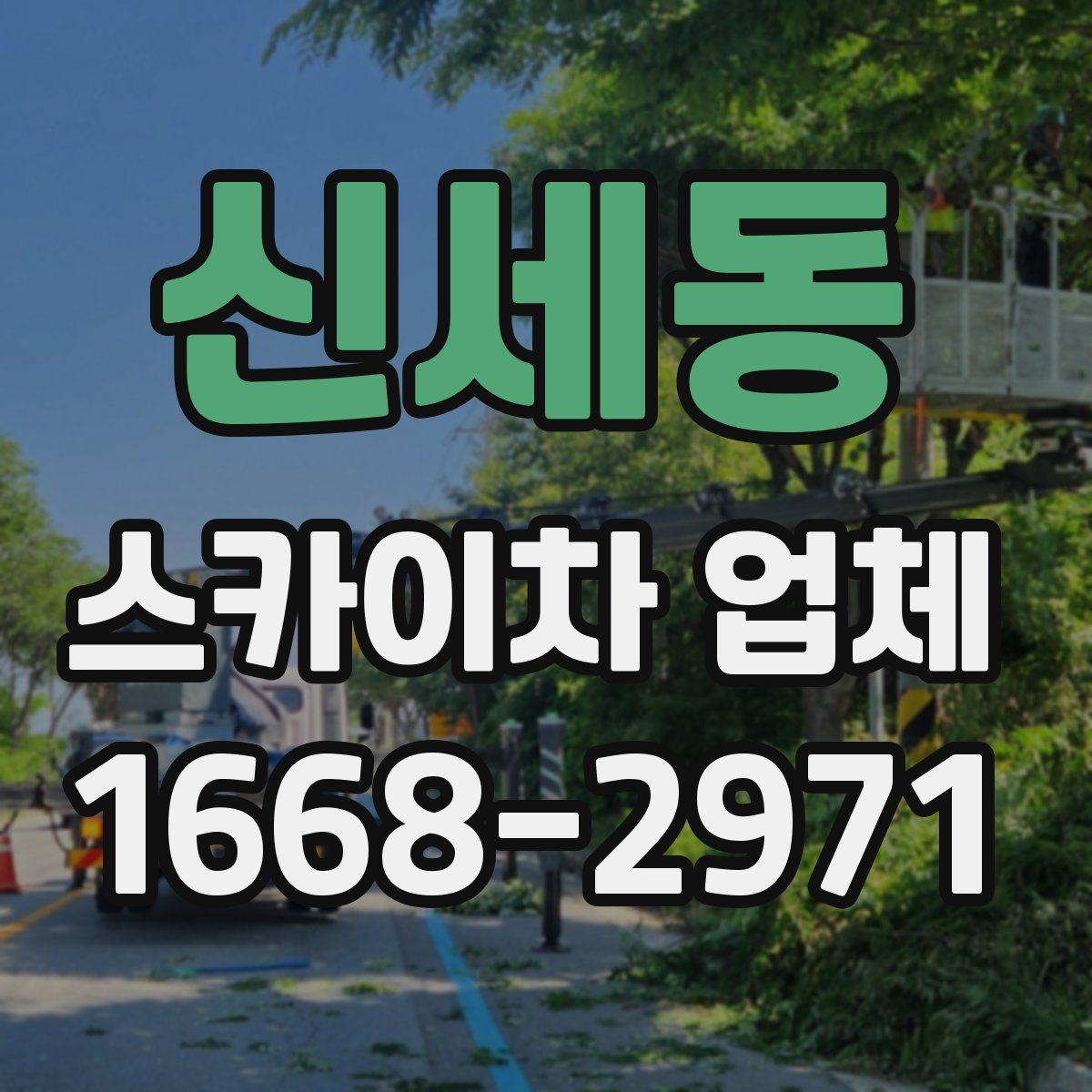 신세동 스카이차 업체